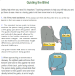 Guiding the Blind